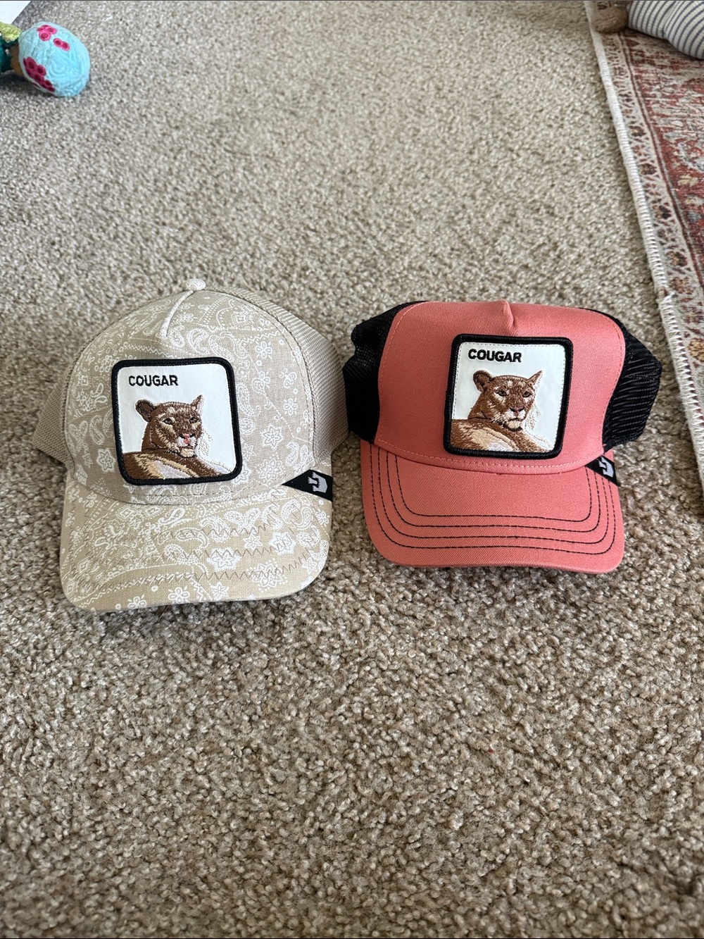Goorin Bro Cougar hats